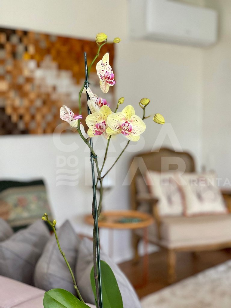 Linda casa com 4 quartos, piscina, churrasqueira, em condomí